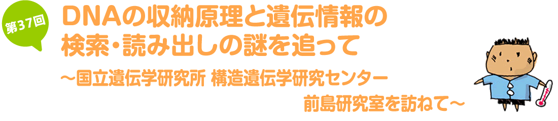 DNAの収納原理と遺伝情報の検索・読み出しの謎を追って～国立遺伝学研究所　構造遺伝学研究センター　前島研究室を訪ねて～