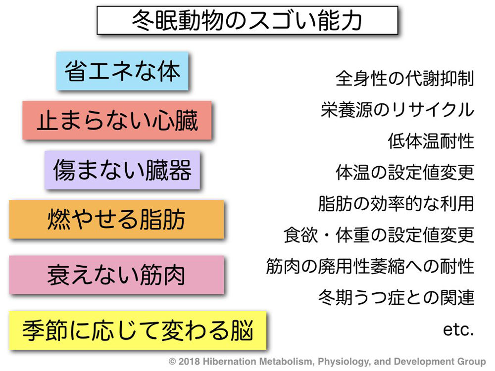 第42回 いま注目の最先端研究 技術探検 中高生と いのちの不思議 を考える 生命科学dokidoki研究室