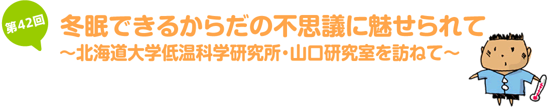 冬眠できるからだの不思議に魅せられて～北海道大学低温科学研究所・山口研究室を訪ねて～