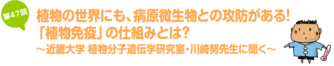 植物の世界にも、病原微生物との攻防がある！「植物免疫」の仕組みとは？～近畿大学 植物分子遺伝学研究室・川崎努先生に聞く～