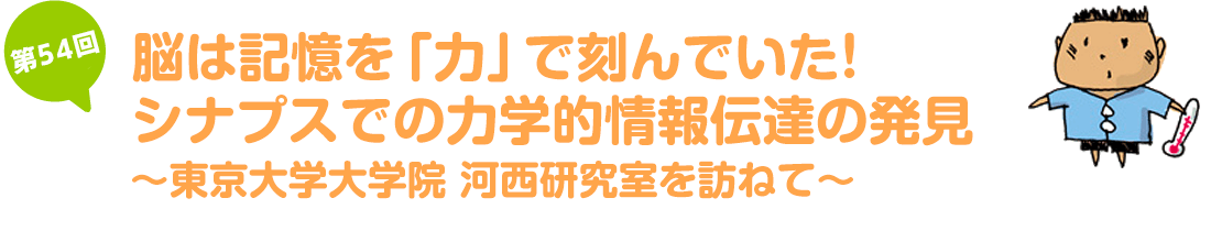 脳は記憶を「力」で刻んでいた！シナプスでの力学的情報伝達の発見~東京大学大学院　河西研究室を訪ねて~