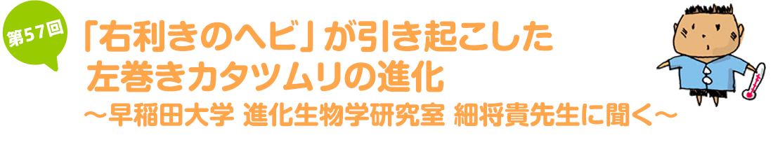 「右利きのヘビ」が引き起こした左巻きカタツムリの進化~早稲田大学 進化生物学研究室　細将貴先生に聞く~