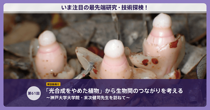 twitter_card.png