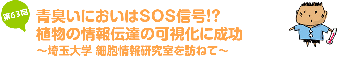 青臭いにおいはSOS信号！？植物の情報伝達の可視化に成功 〜埼玉大学 細胞情報研究室を訪ねて〜
