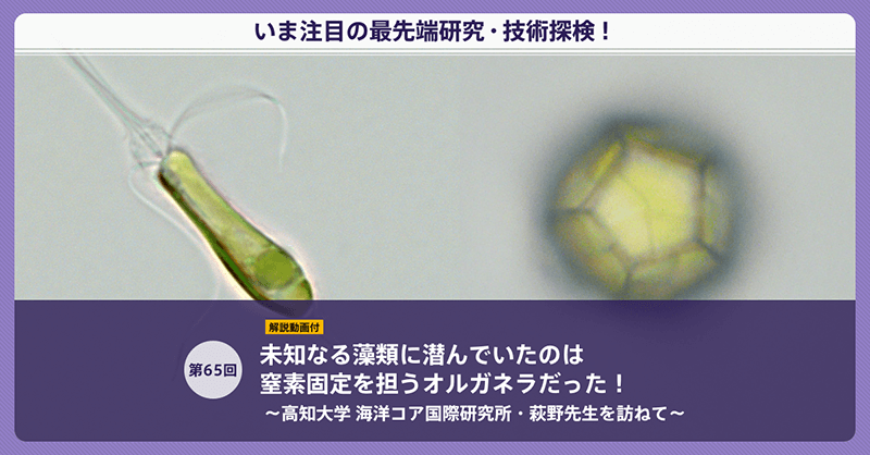 藻類研究法 twitter_card.png