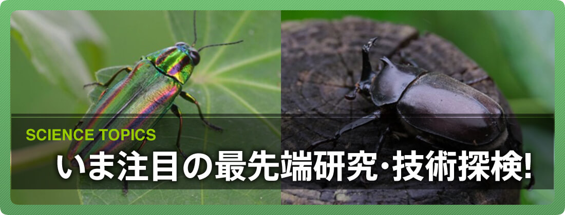いま注目の最先端研究・技術探検！