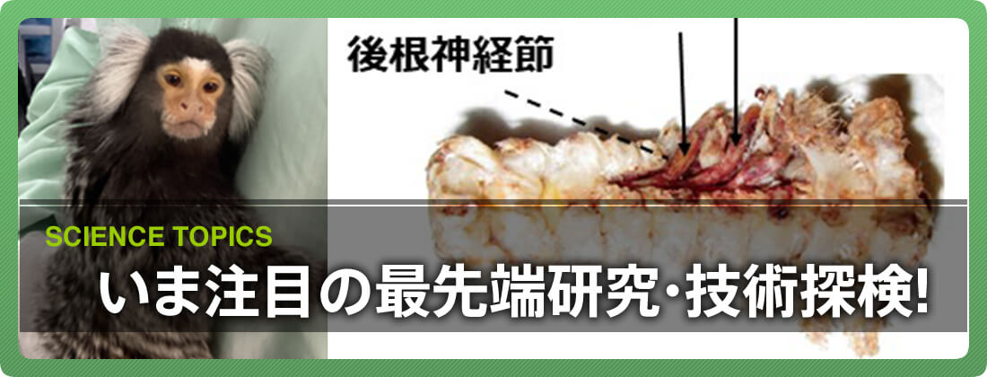 いま注目の最先端研究・技術探検！