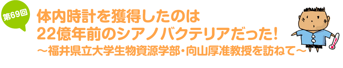 体内時計を獲得したのは22億年前のシアノバクテリアだった！～福井県立大学生物資源学部・向山厚准教授を訪ねて～